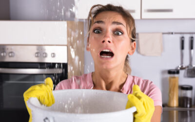 How to Prevent Damaging Leaks in Your Home