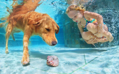 Hazards Around Your Pool You Need to Address