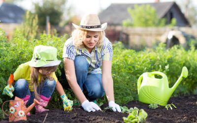 Why You Should Plant a Garden in Your Yard