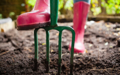 How to Prevent Soil Erosion in Your Backyard