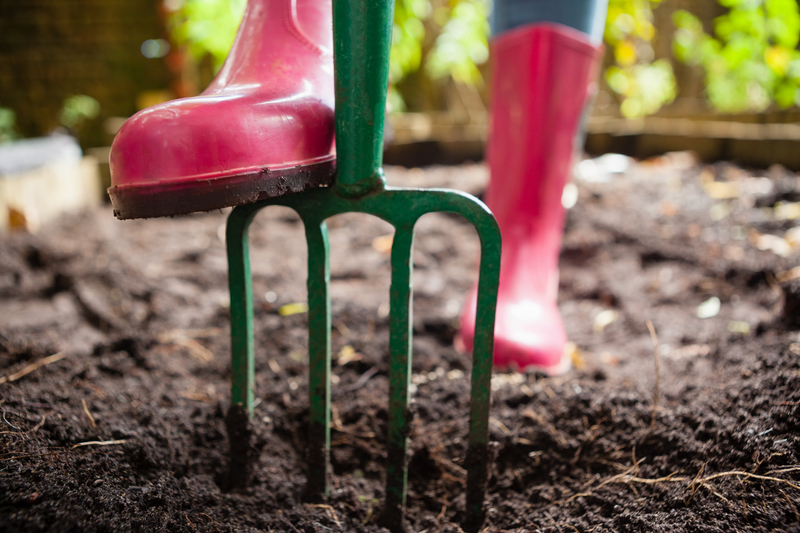 How to Prevent Soil Erosion in Your Backyard